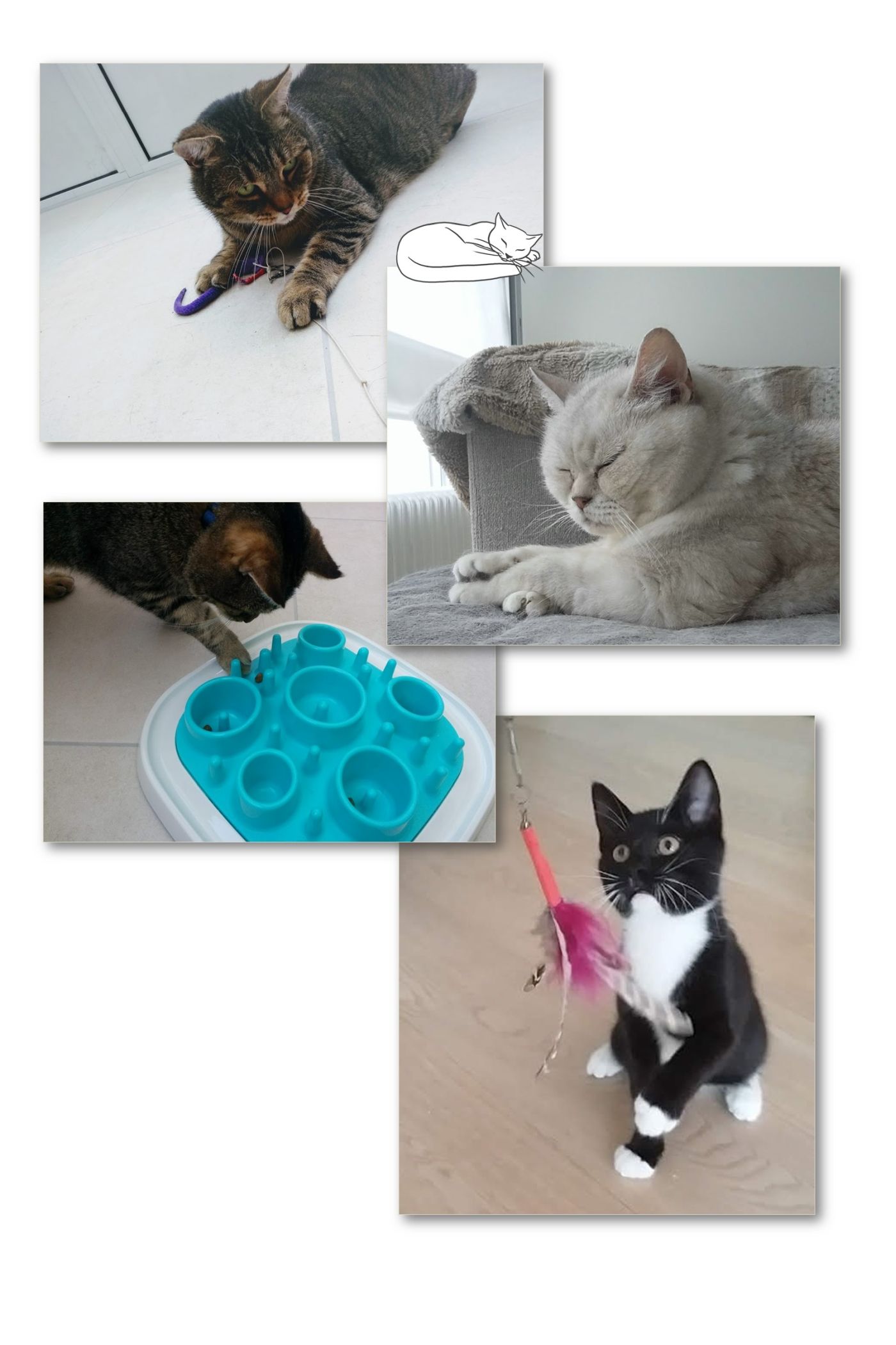 oppas aan huis 1.jpg collage oppas aan huis