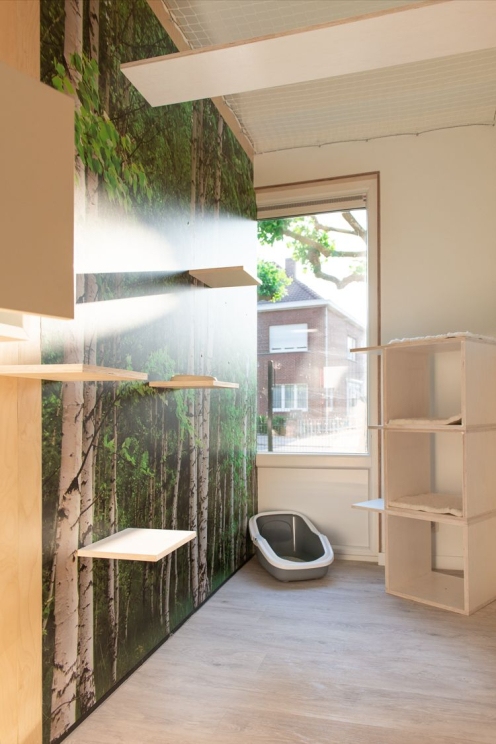 Luxe inrichting kattenhotel Suite met raam te Gent | Groenland Suite voor poezenopvang 