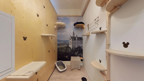 Kattenhotel Suite met Disneyland thema | Inrichting kattenopvang 