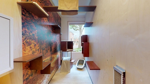 Katvriendelijke en stressvrije opvang voor katten in de Zwarte Woud suite van kattenhotel Chat-o-Gand te Gent 