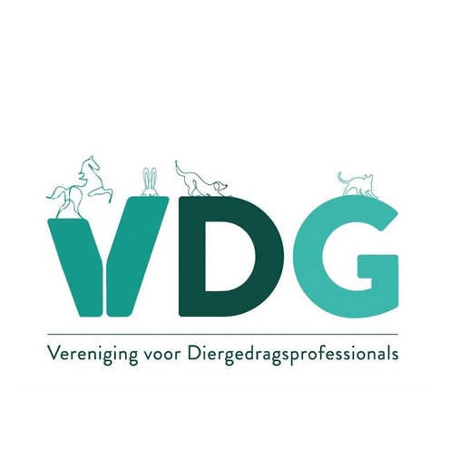 VDG