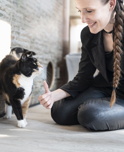 Joline De Jaegher van Chat-o-Gand speelt met hotel kat terwijl baasje op vakantie is