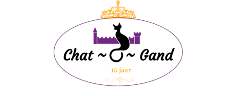15 jaar Chat-o-Gand logo
